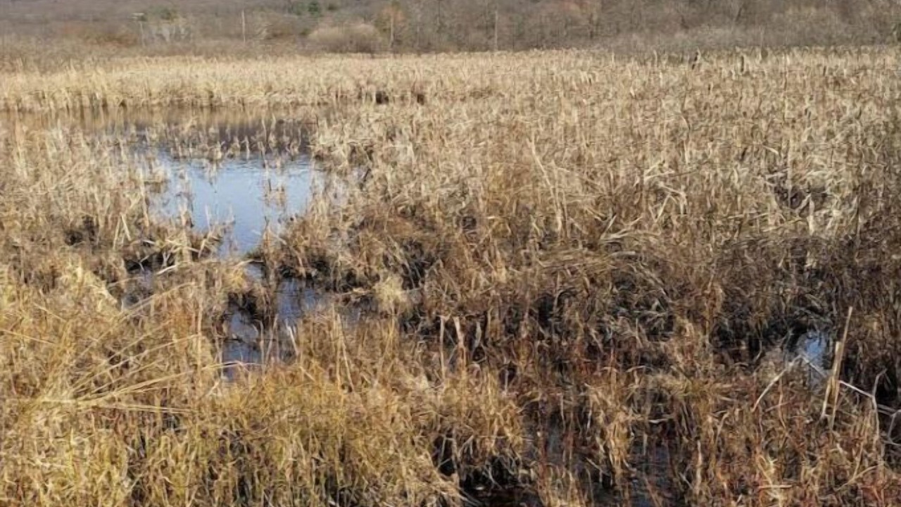 Photo of Others in Fleming