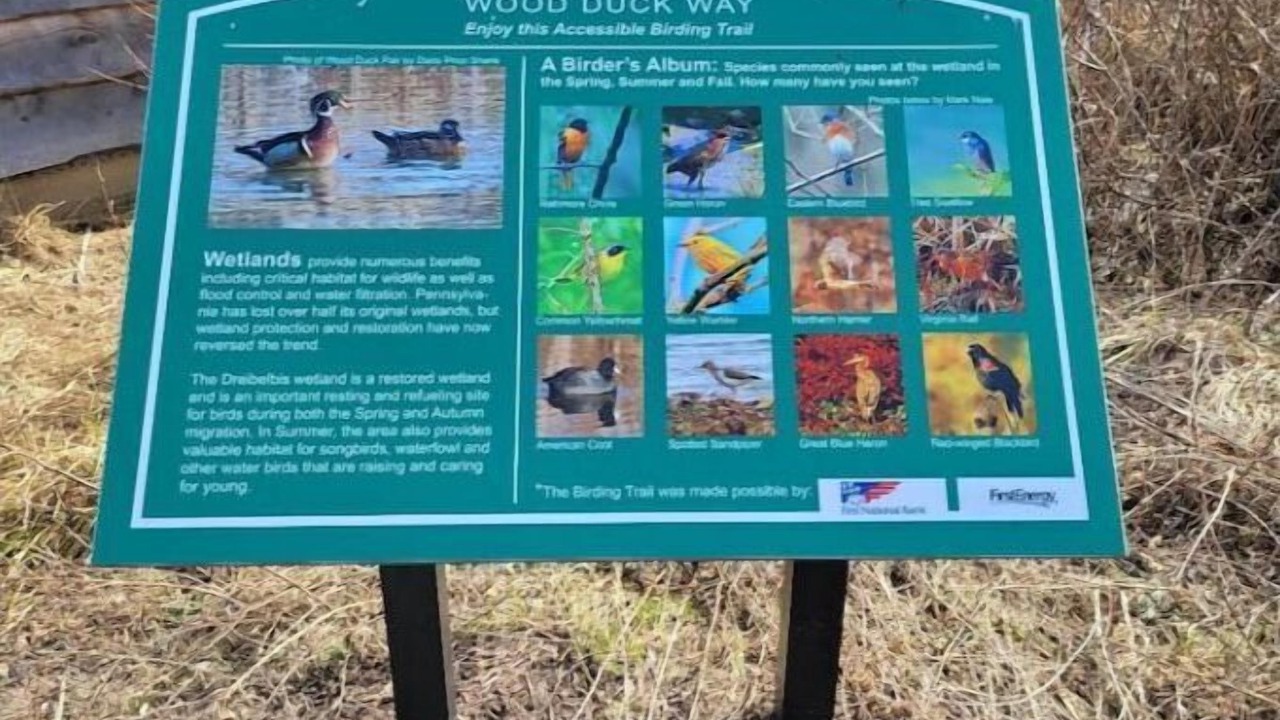 Photo of Others in Fleming