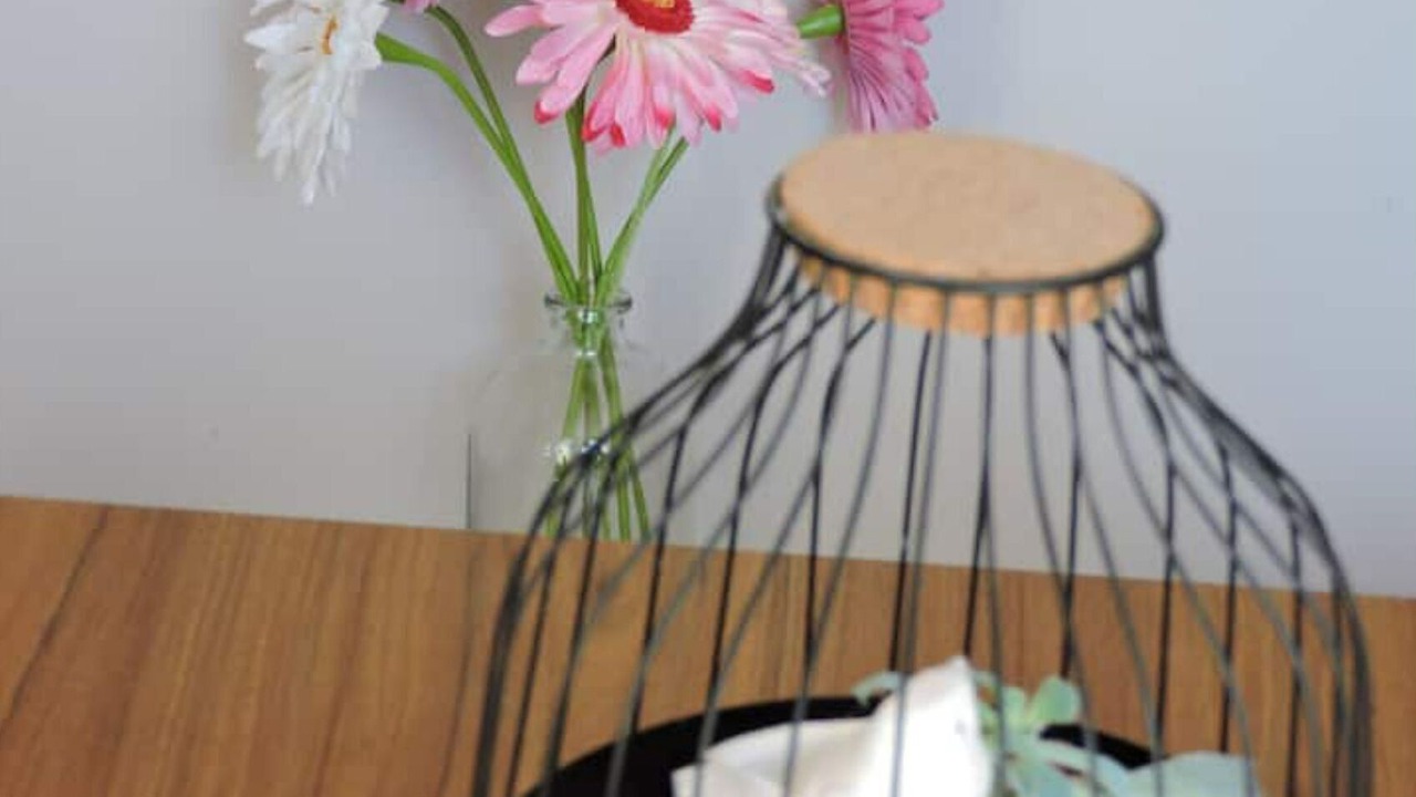 Photo of Others in Codalet