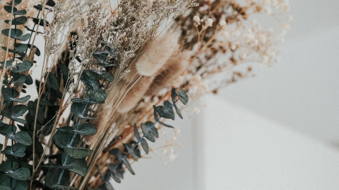 Photo of Others in Thiers