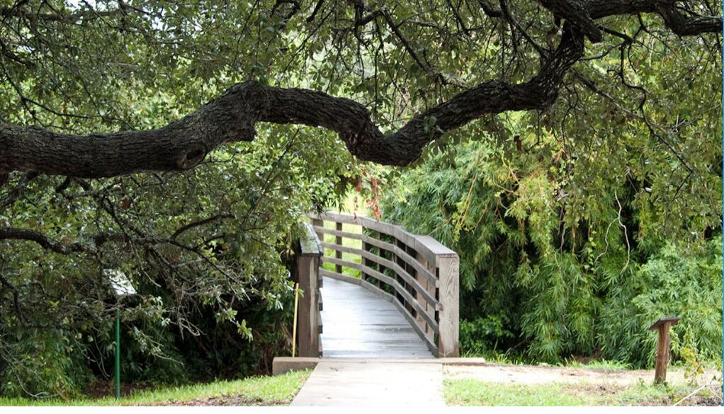 Photo of Outdoor in San Antonio