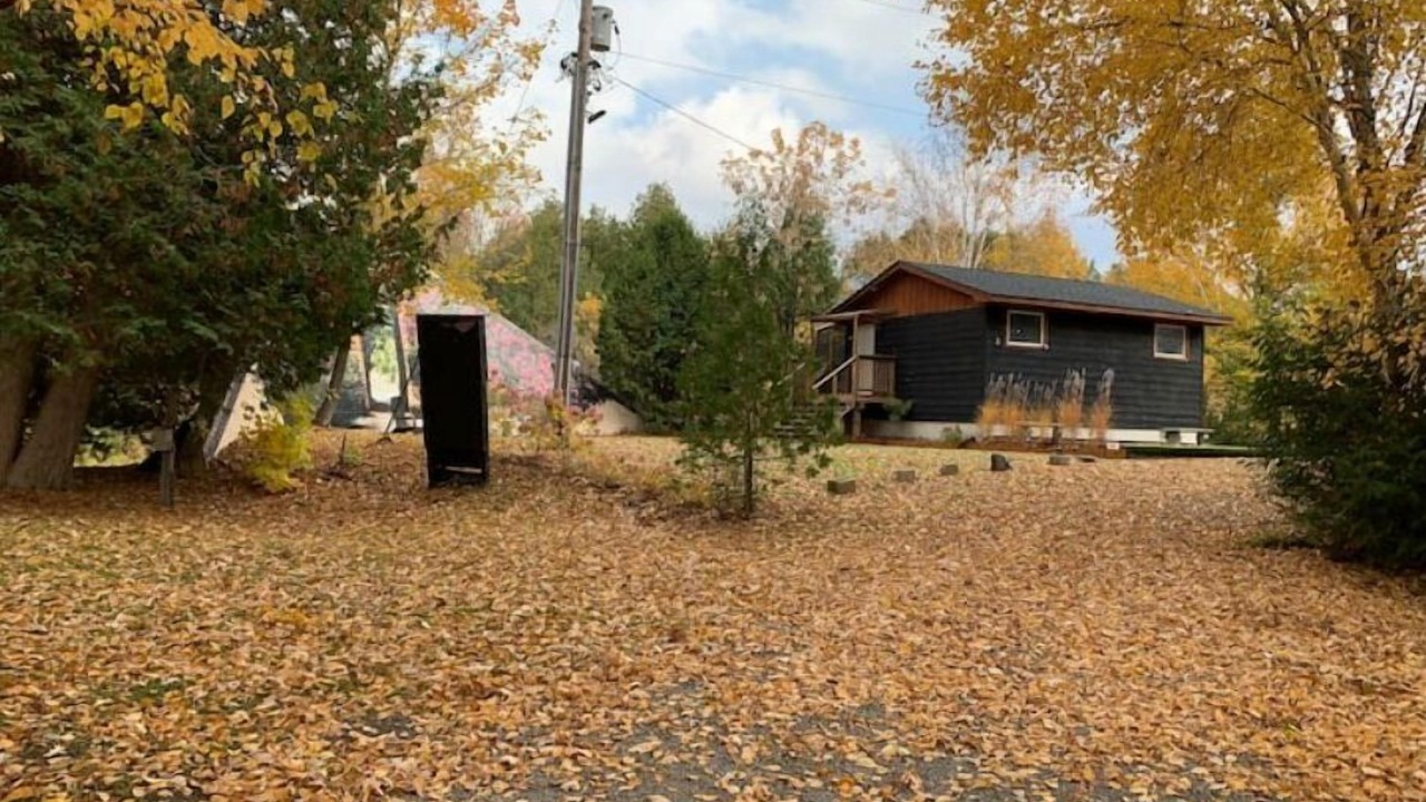 Photo of Outdoor in Brock
