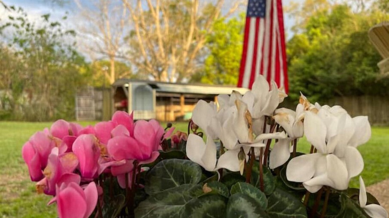Photo of Outdoor in Tillmans Corner
