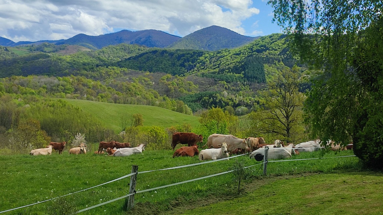Photo of Others in Saint-Girons