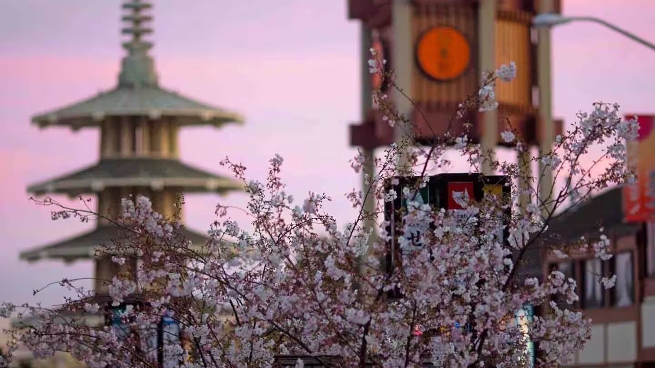 Photo of Others in Japantown