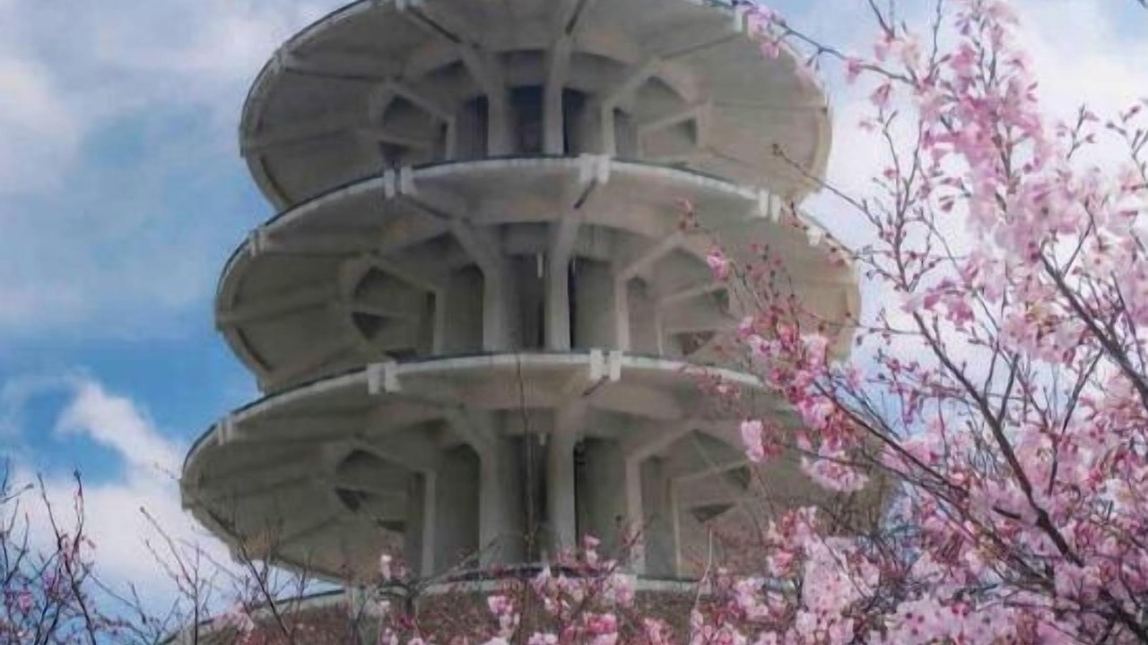 Photo of Others in Japantown