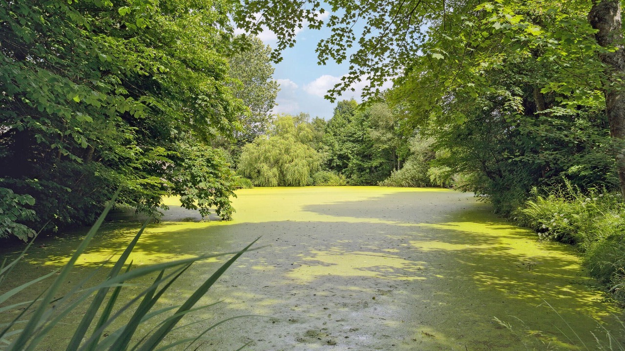 Photo of Others in Bække