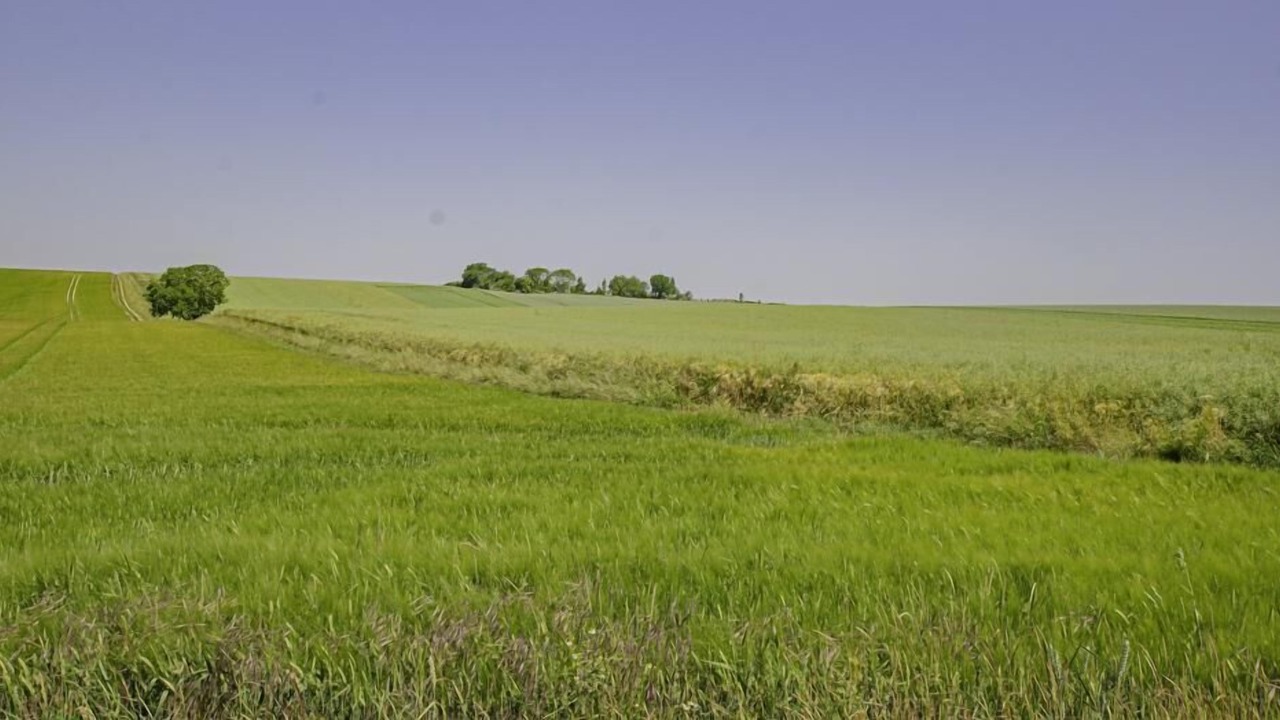 Photo of Others in Chavanges
