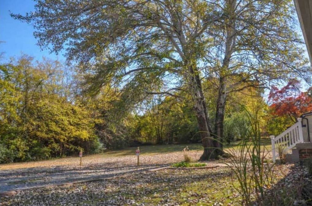 Photo of Outdoor in Lebanon