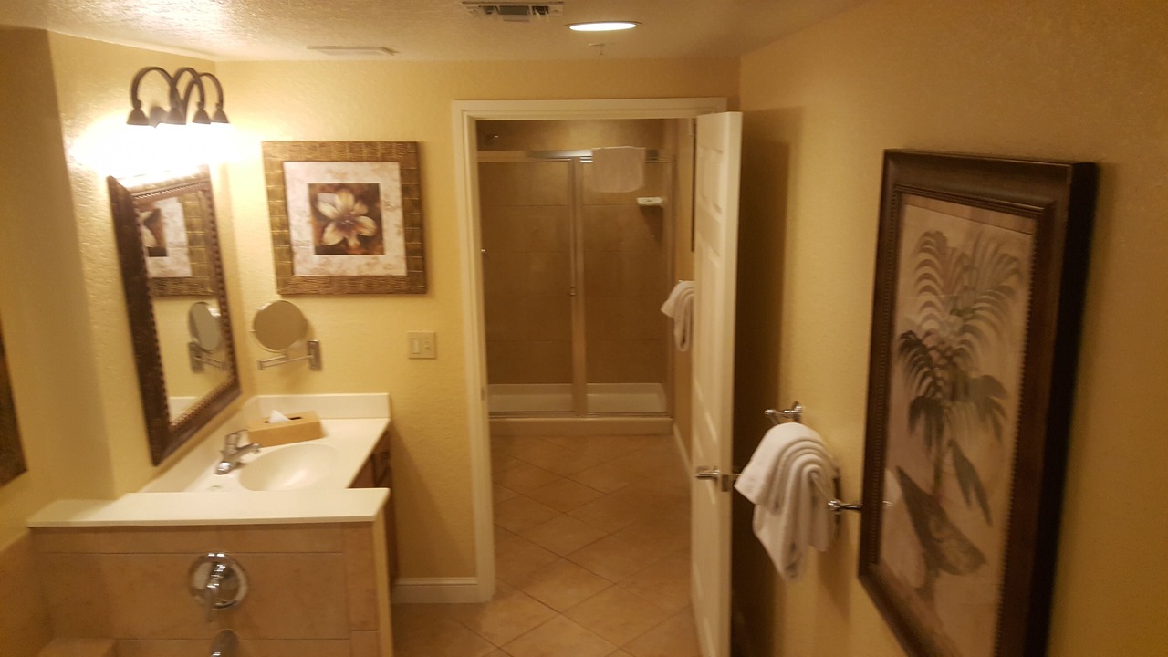 Photo of Others in Lake Buena Vista