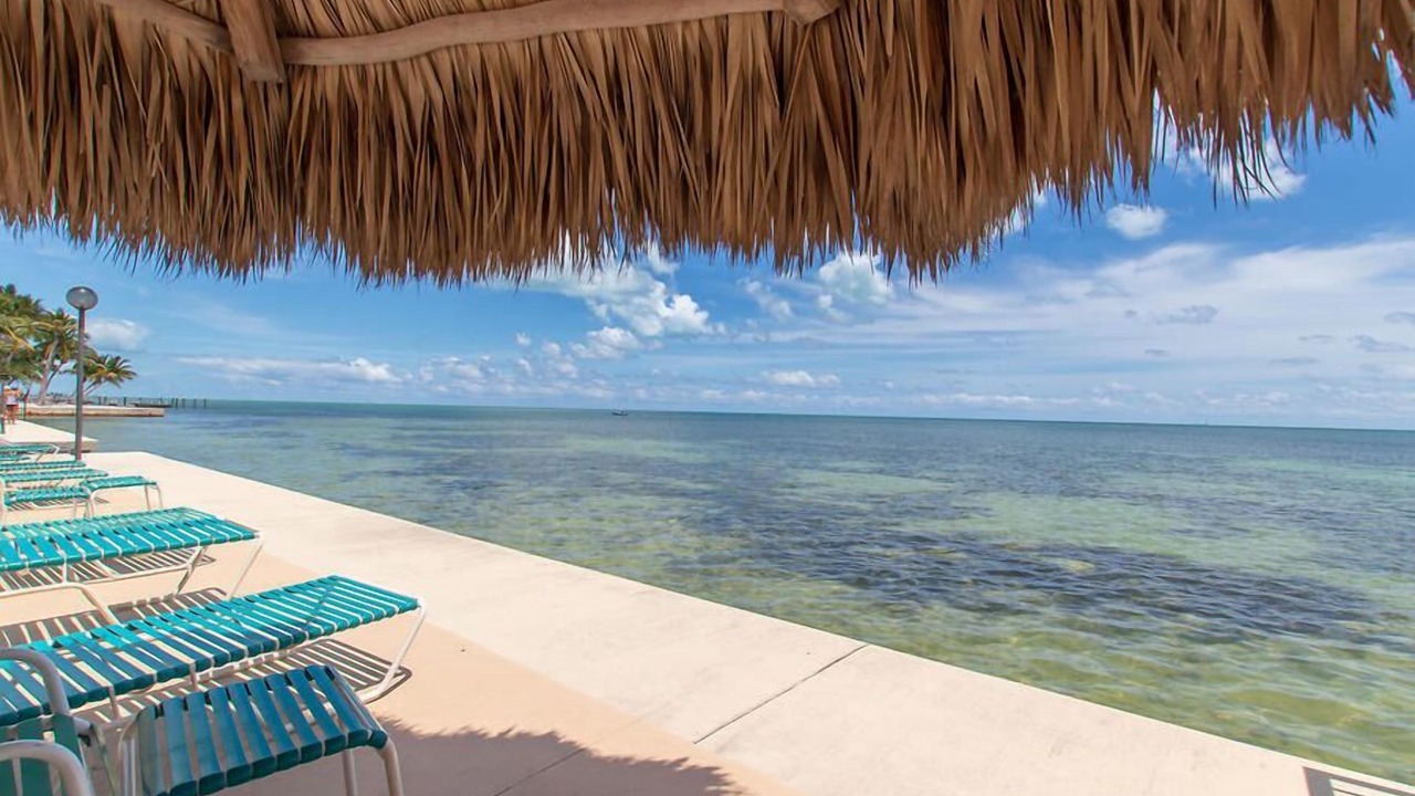 Photo of Outdoor in Islamorada