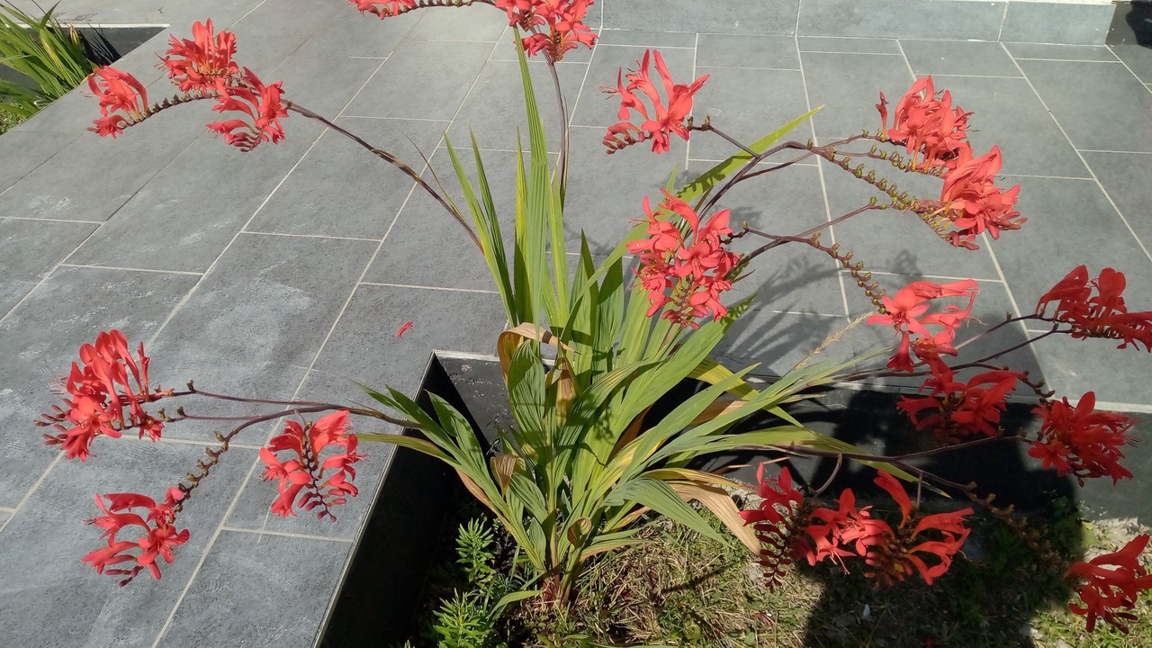 Photo of Outdoor in Les Hemmes de Marck