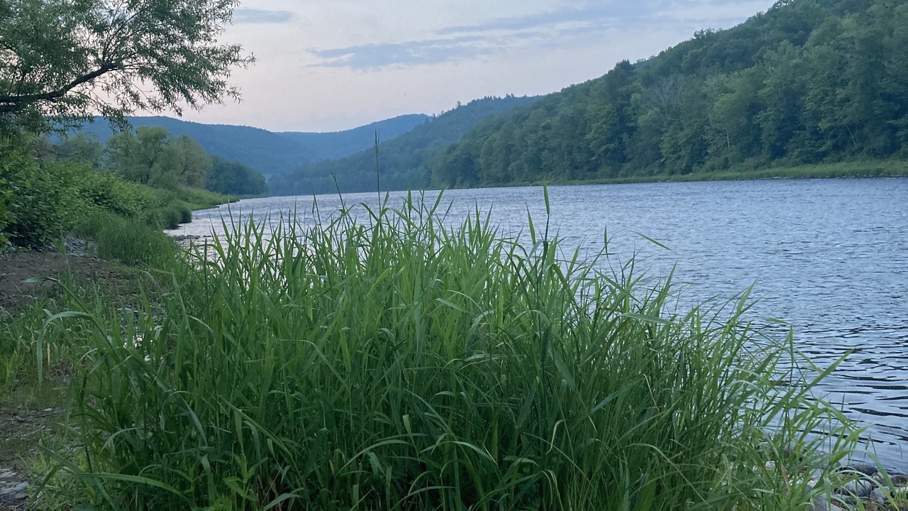 Photo of Others in Equinunk