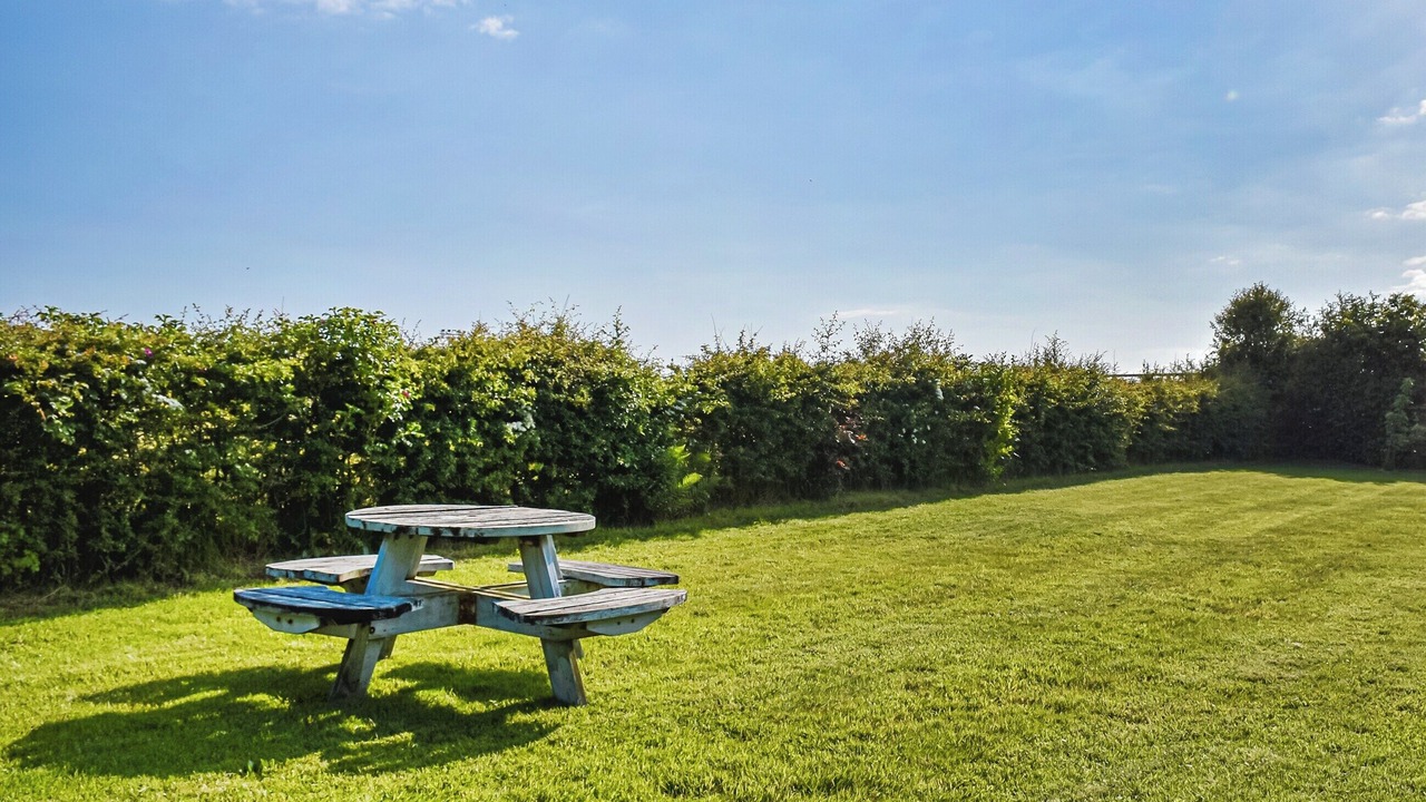 Photo of Outdoor in Crynant