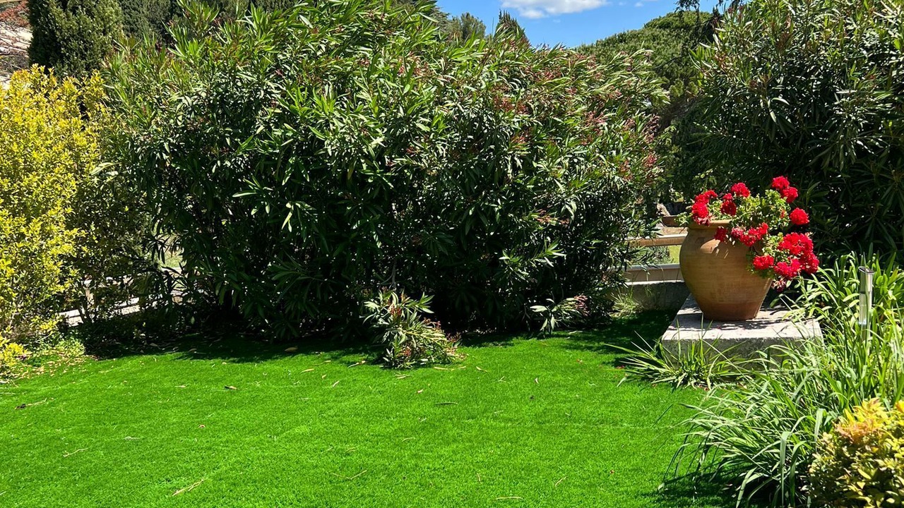 Photo of Outdoor in Grasse