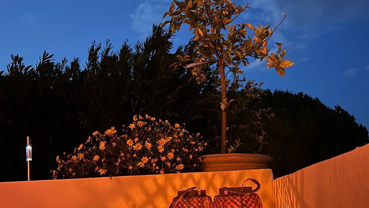 Photo of Outdoor in Grasse