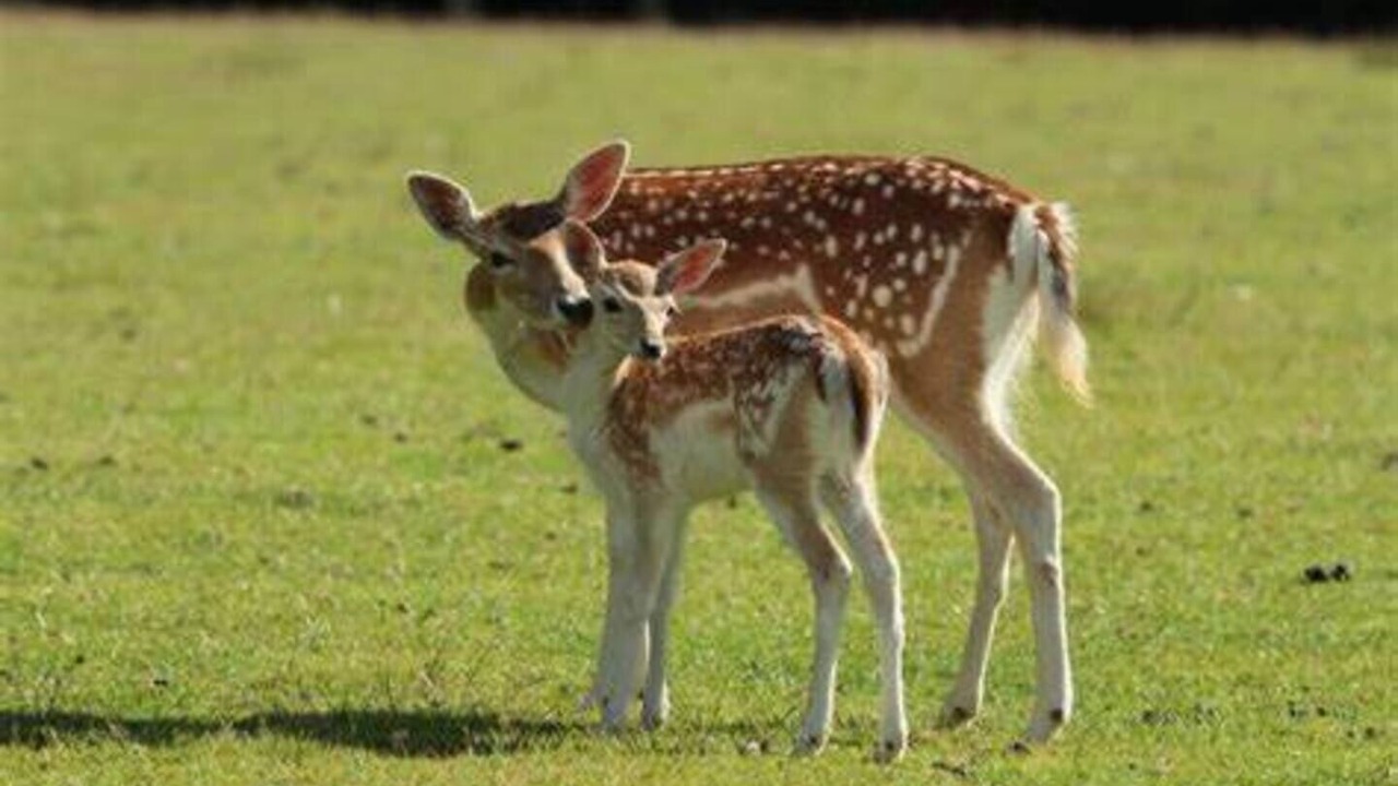 Photo of Outdoor in Perret