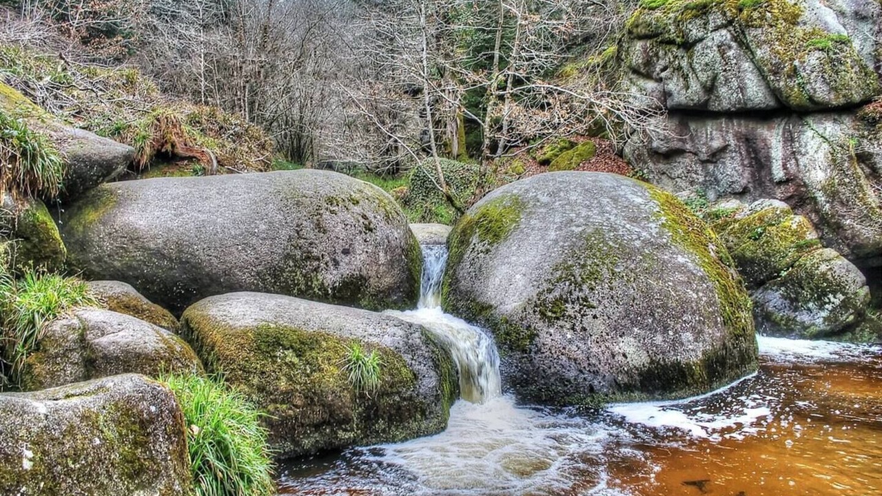 Photo of Others in Perret