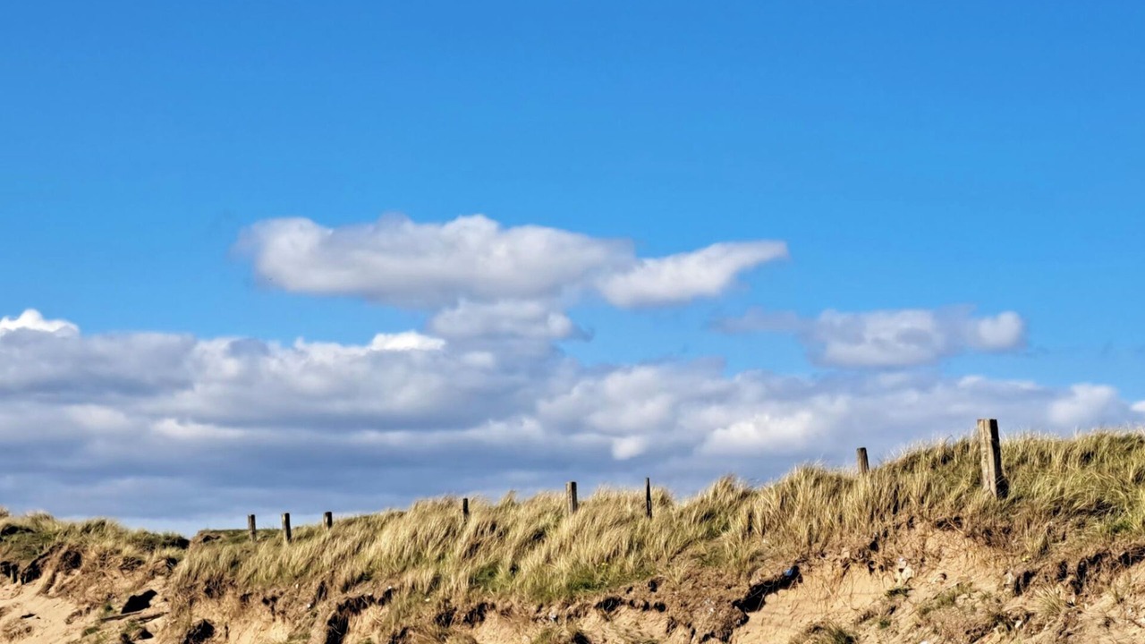 Photo of Others in Troon