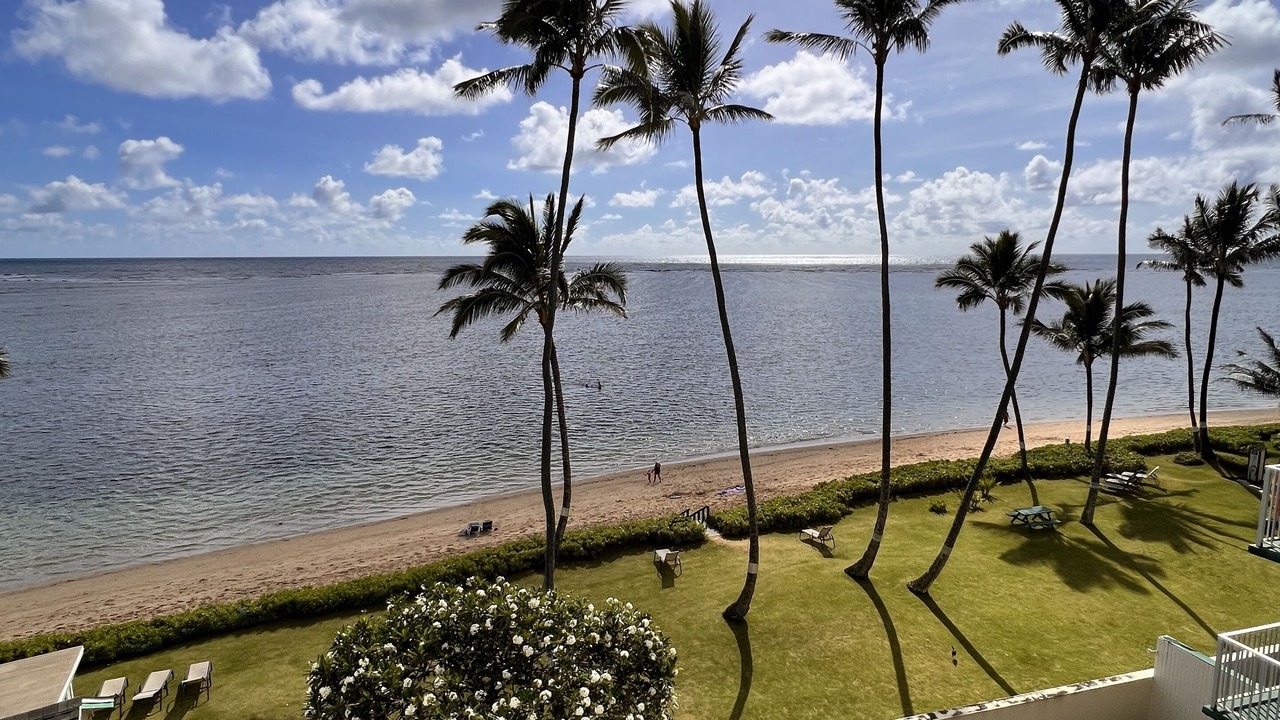 Photo of Outdoor in Punaluu