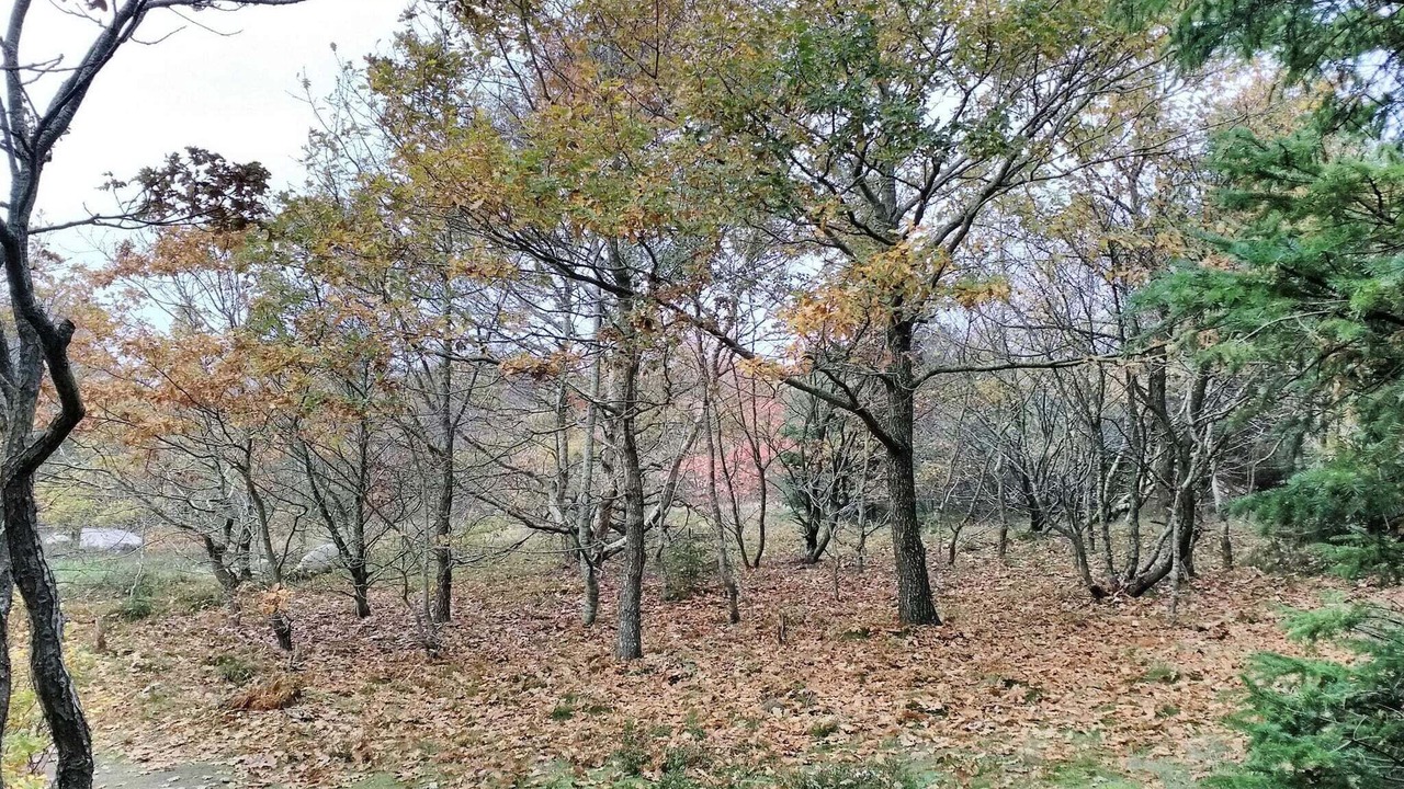 Photo of Others in Thyholm