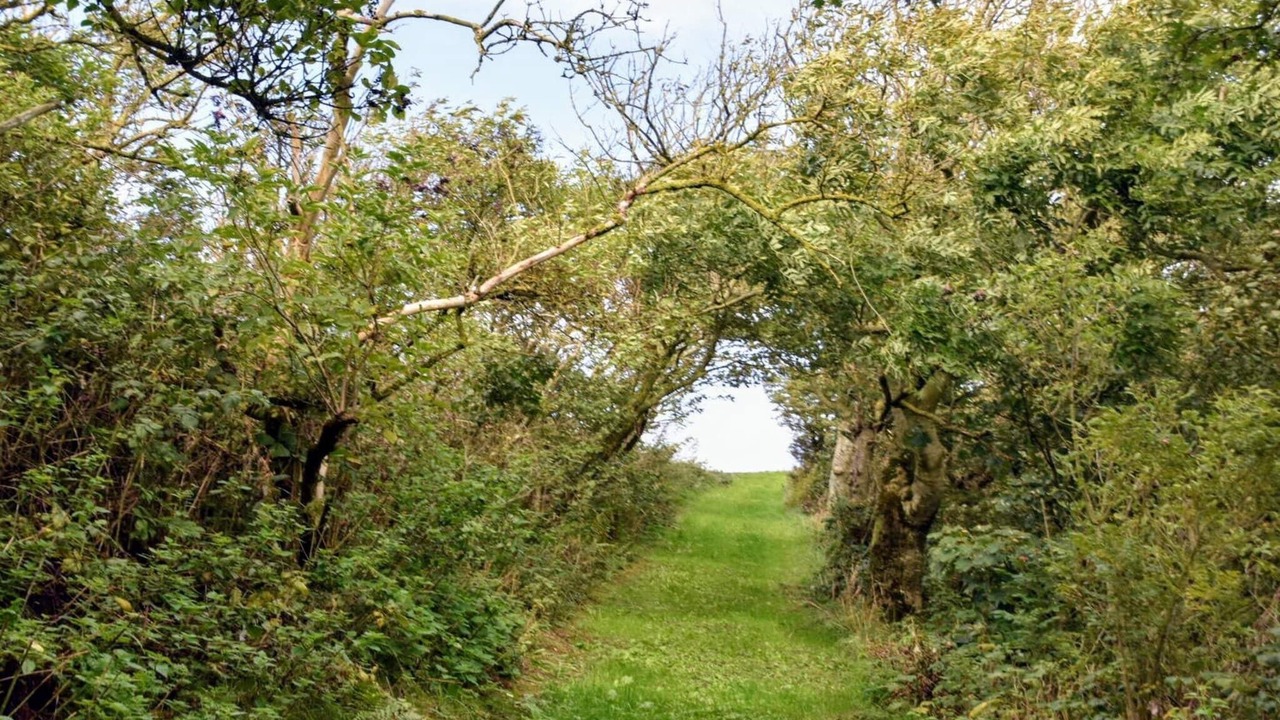 Photo of Others in Thyholm