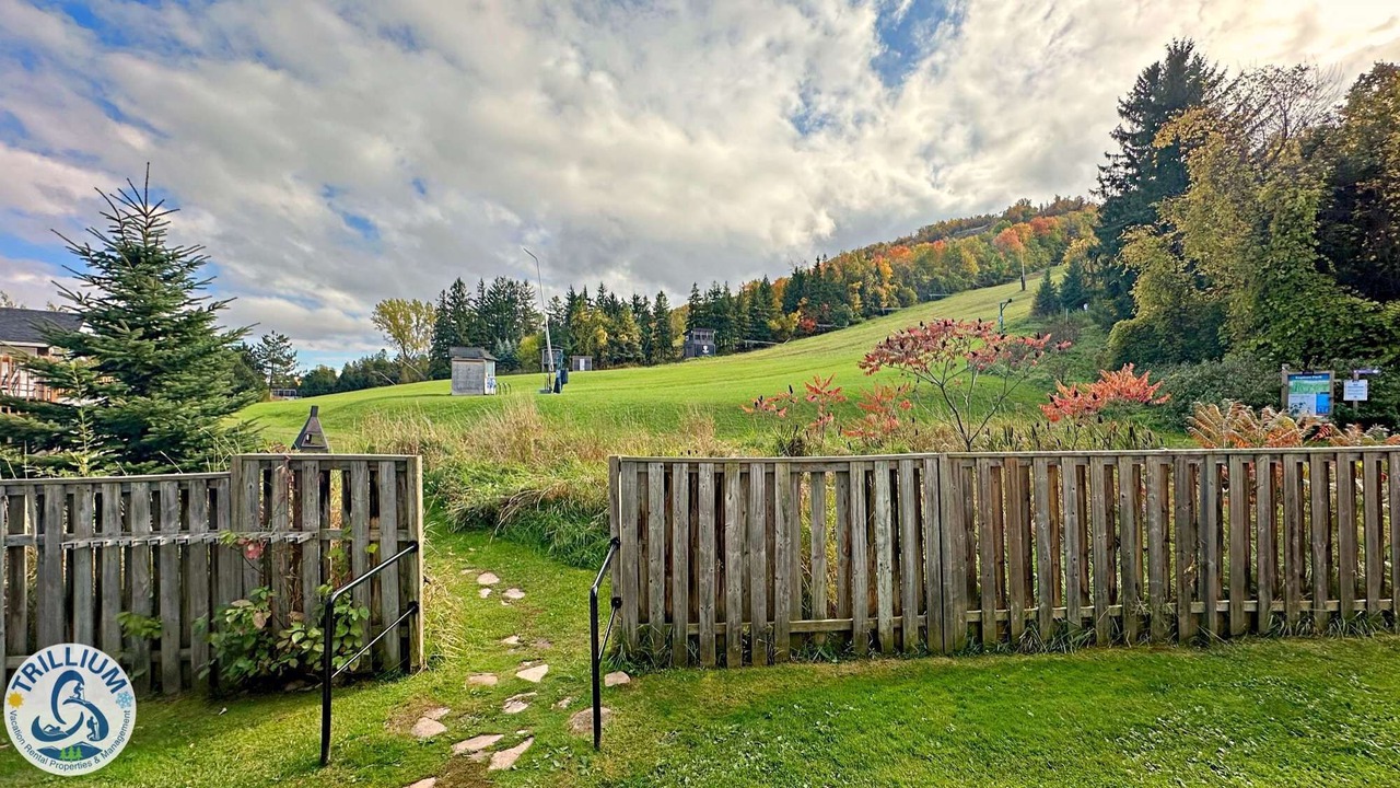 Photo of Outdoor in Craigleith