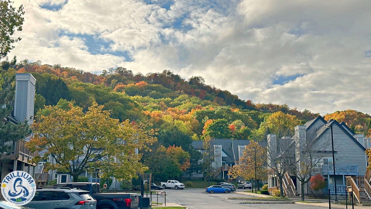 Photo of Others in Craigleith
