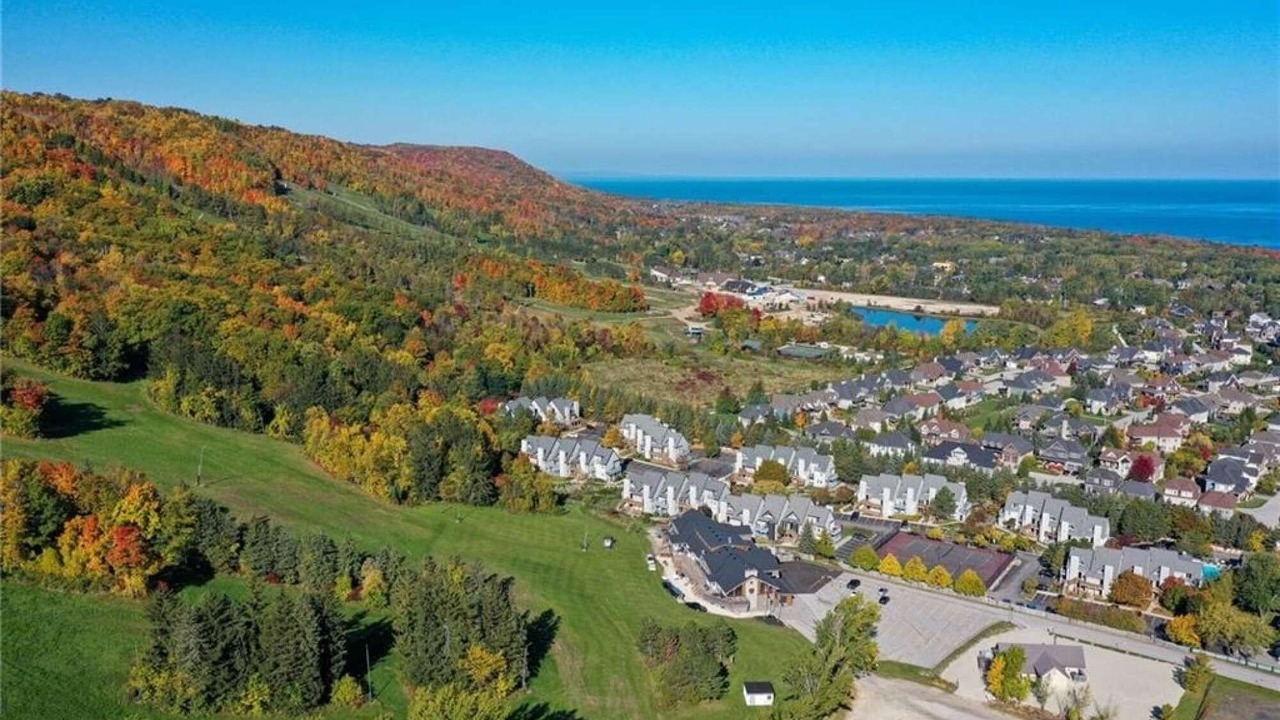 Photo of Others in Craigleith