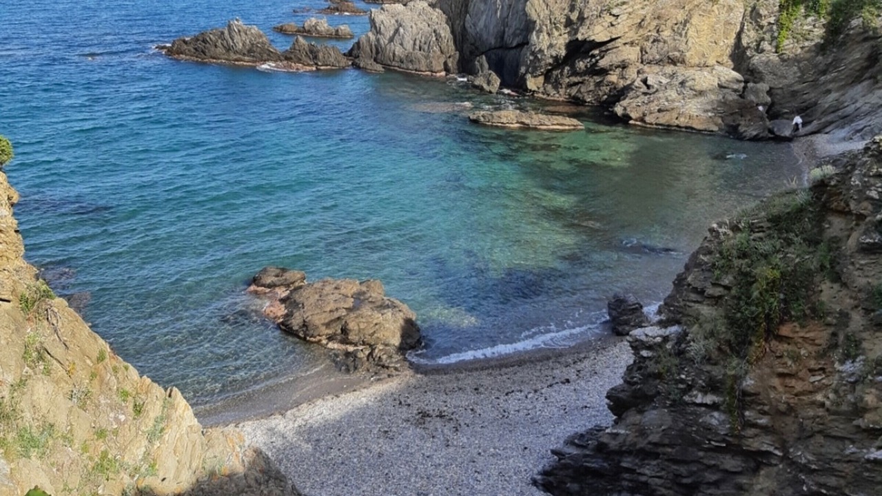 Photo of Others in Plage d'Argeles