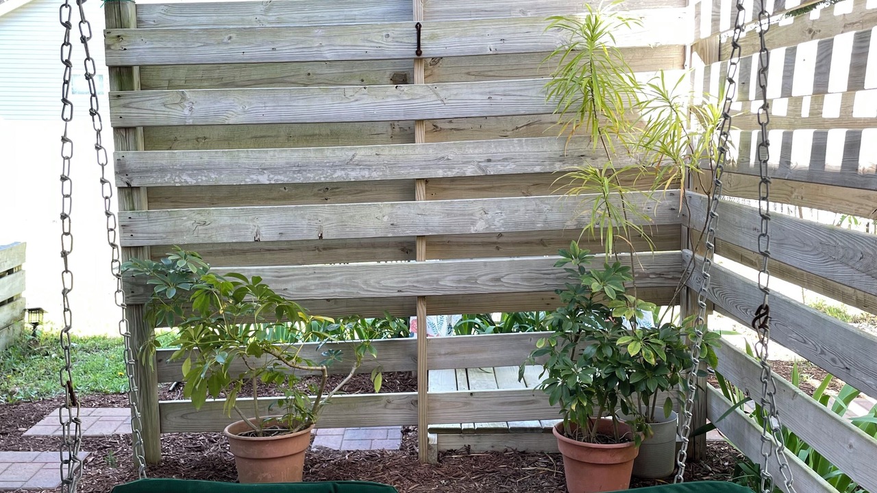 Photo of Outdoor in Nags Head