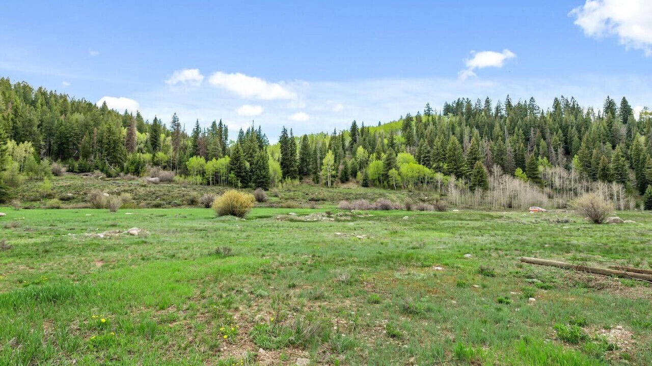 Photo of Others in Vail - Beaver Creek