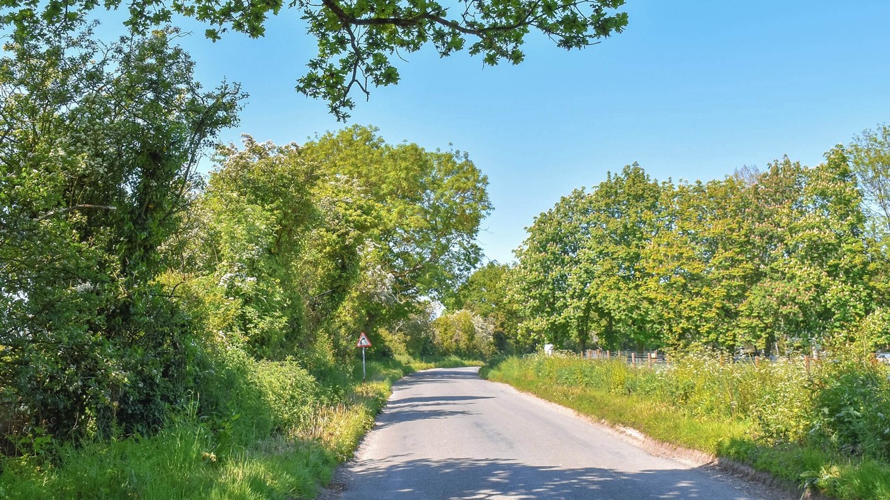 Photo of Others in Foxley