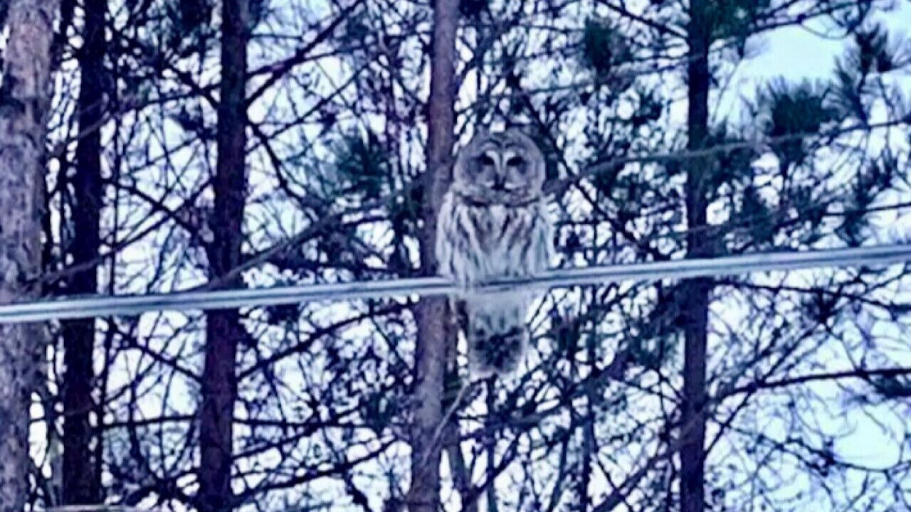 Photo of Others in Au Gres