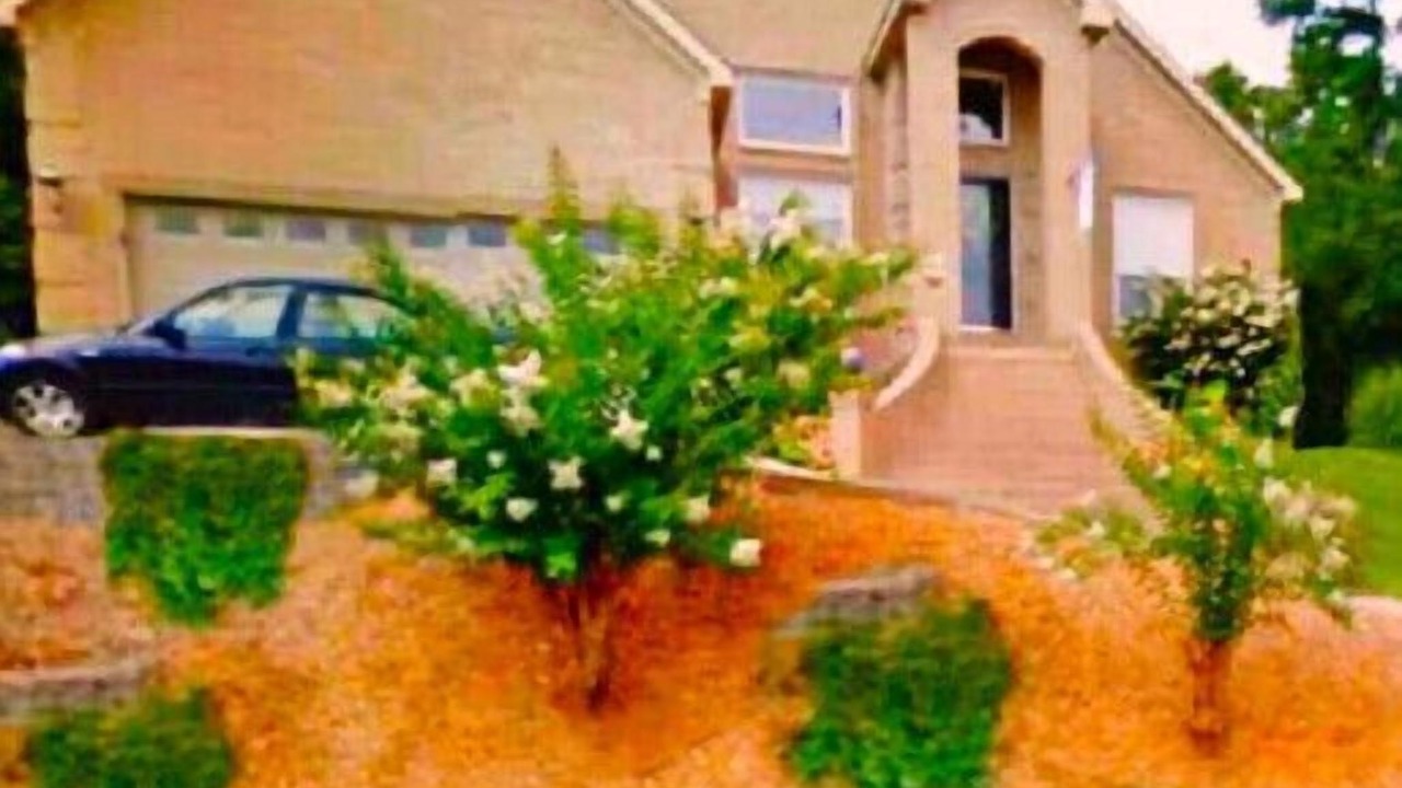 Photo of Outdoor in Maumelle