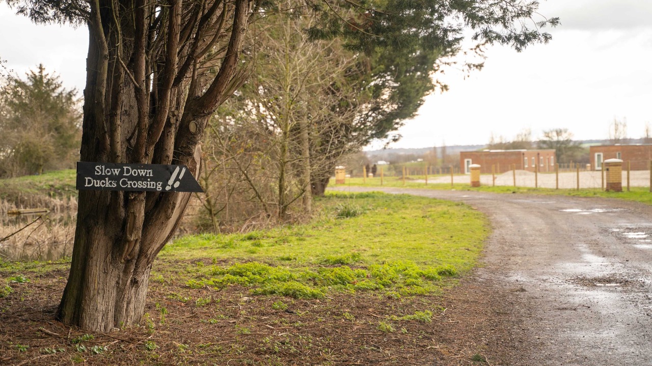 Photo of Others in Romford