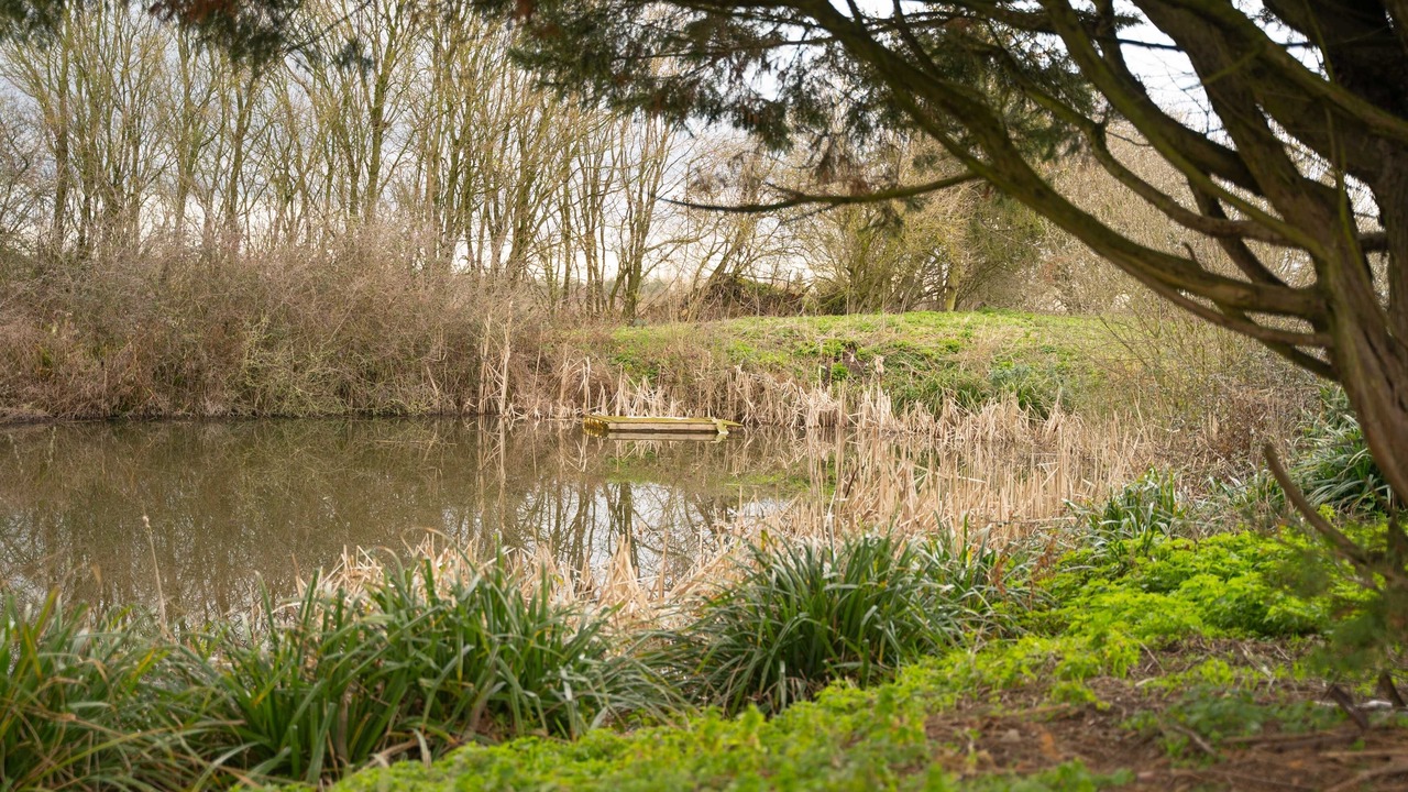 Photo of Others in Romford