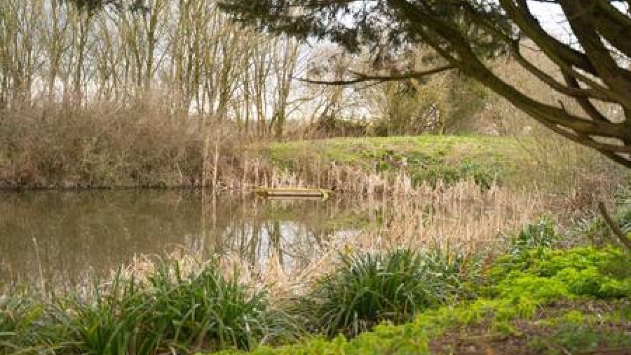 Photo of Others in Romford