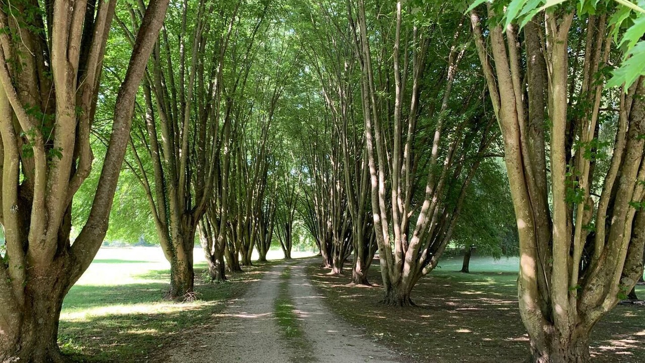 Photo of Others in Ormoy-la-Riviere