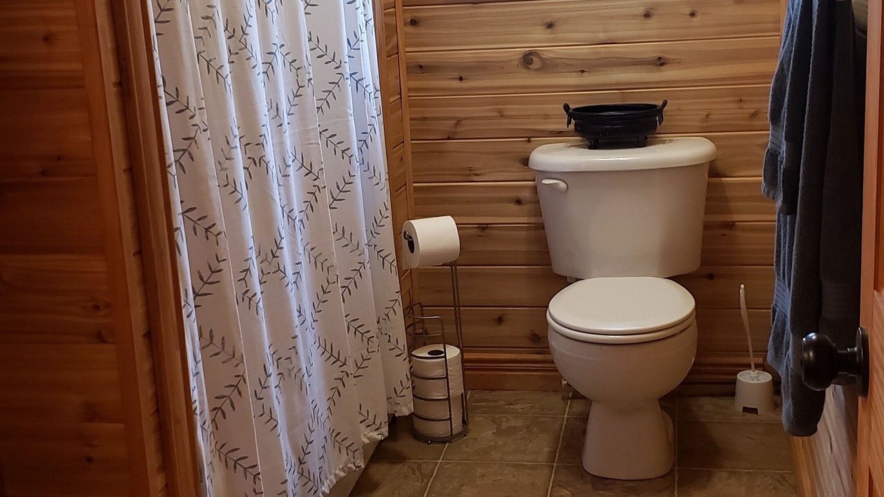 Photo of Bathroom in Colinet