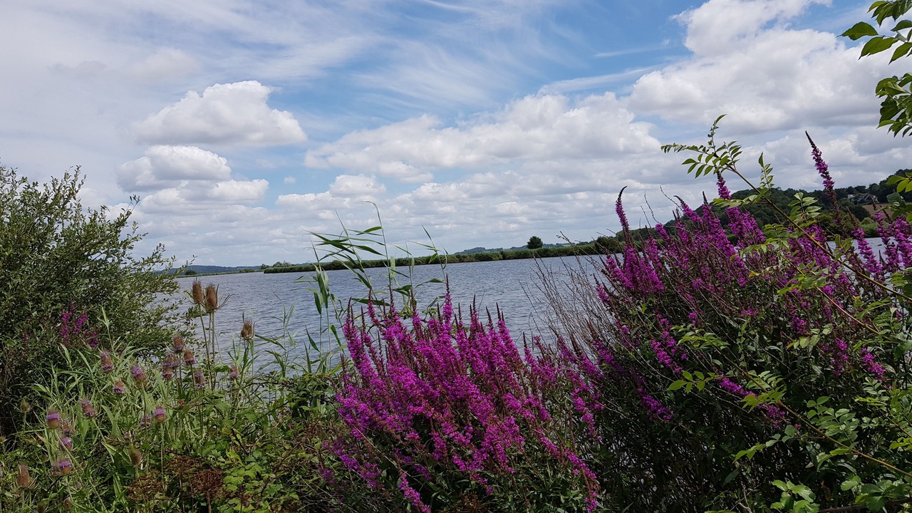 Photo of Outdoor in Beganne