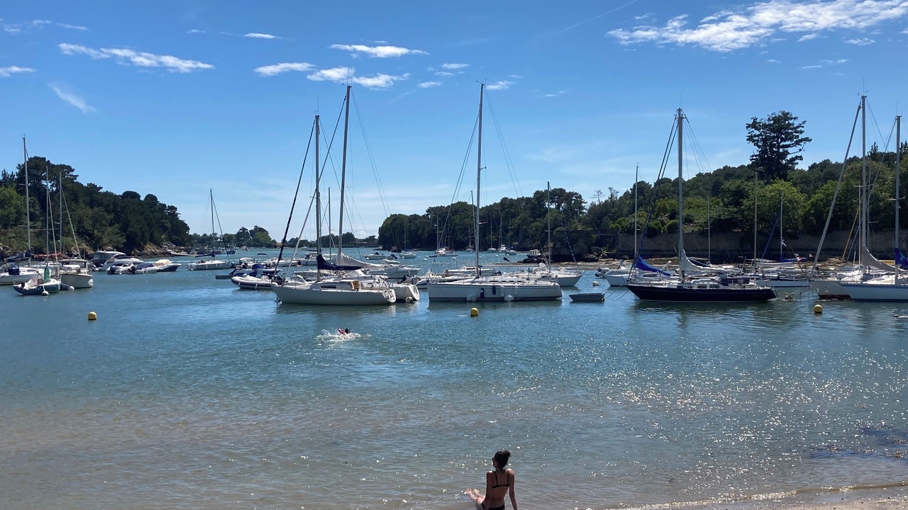 Photo of Others in Vannes