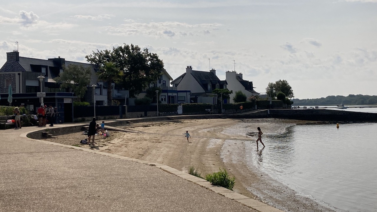 Photo of Others in Vannes