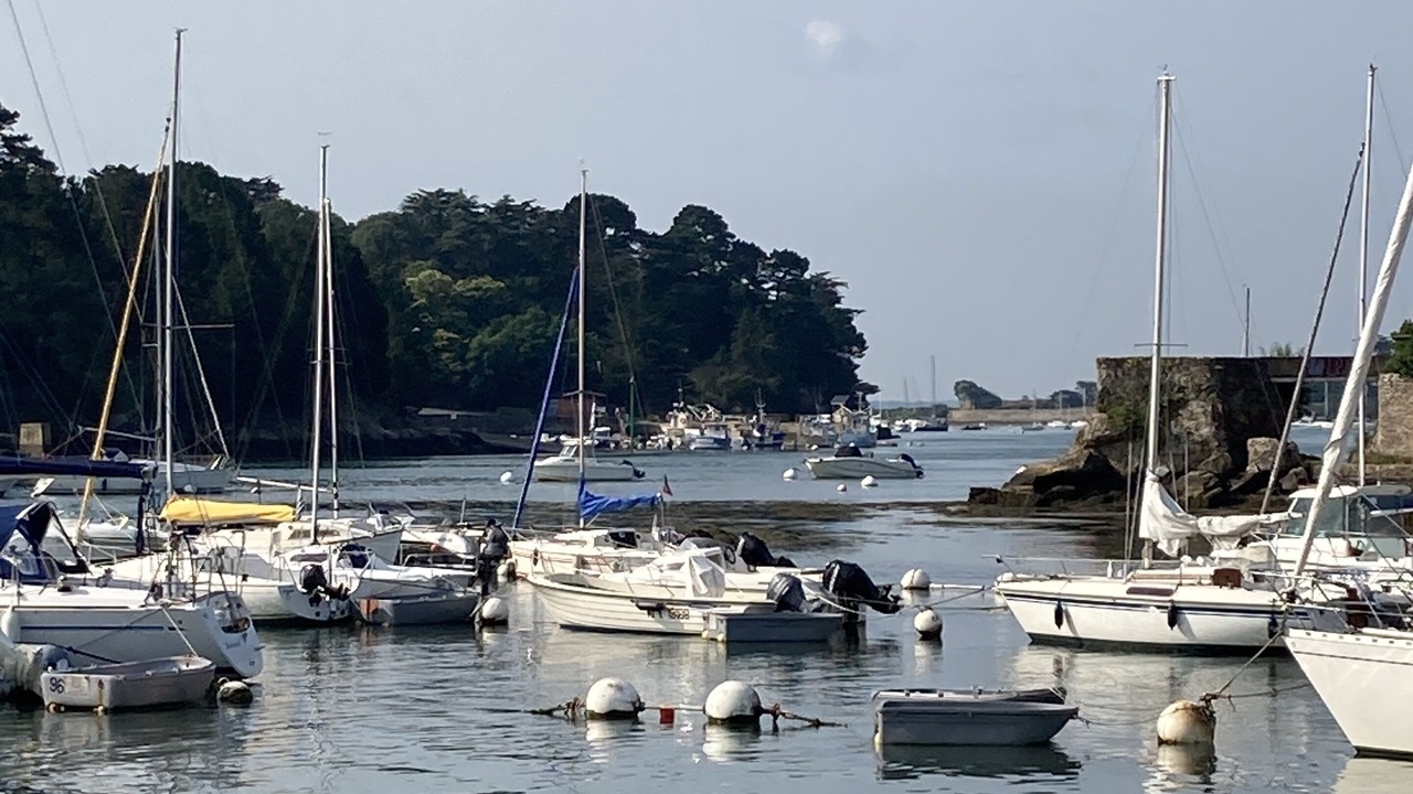 Photo of Others in Vannes