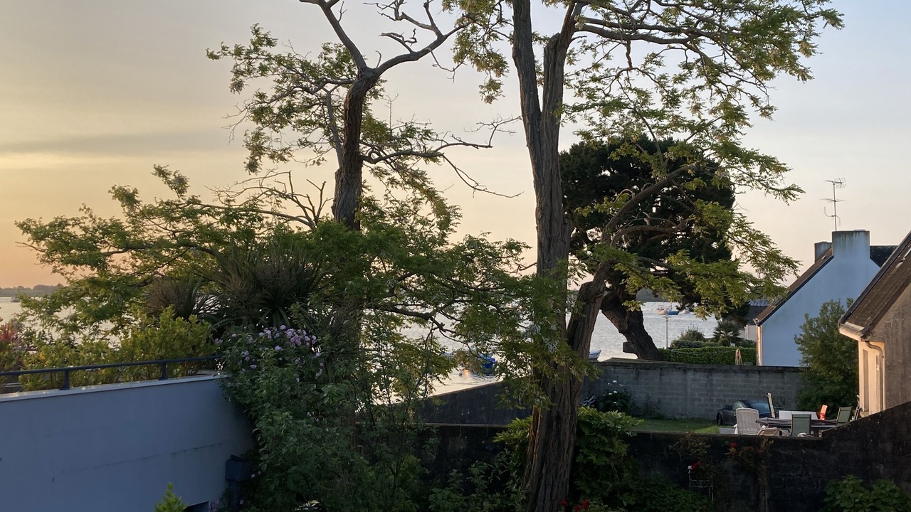 Photo of Outdoor in Vannes