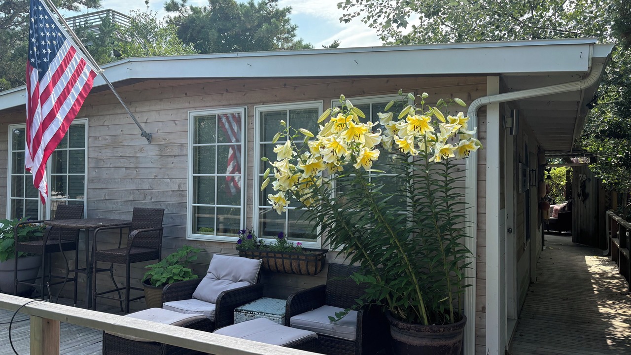 Photo of Outdoor in Fair Harbor