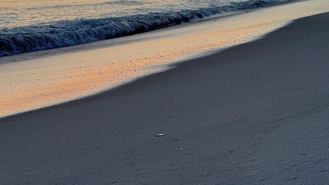 Photo of Others in Fair Harbor