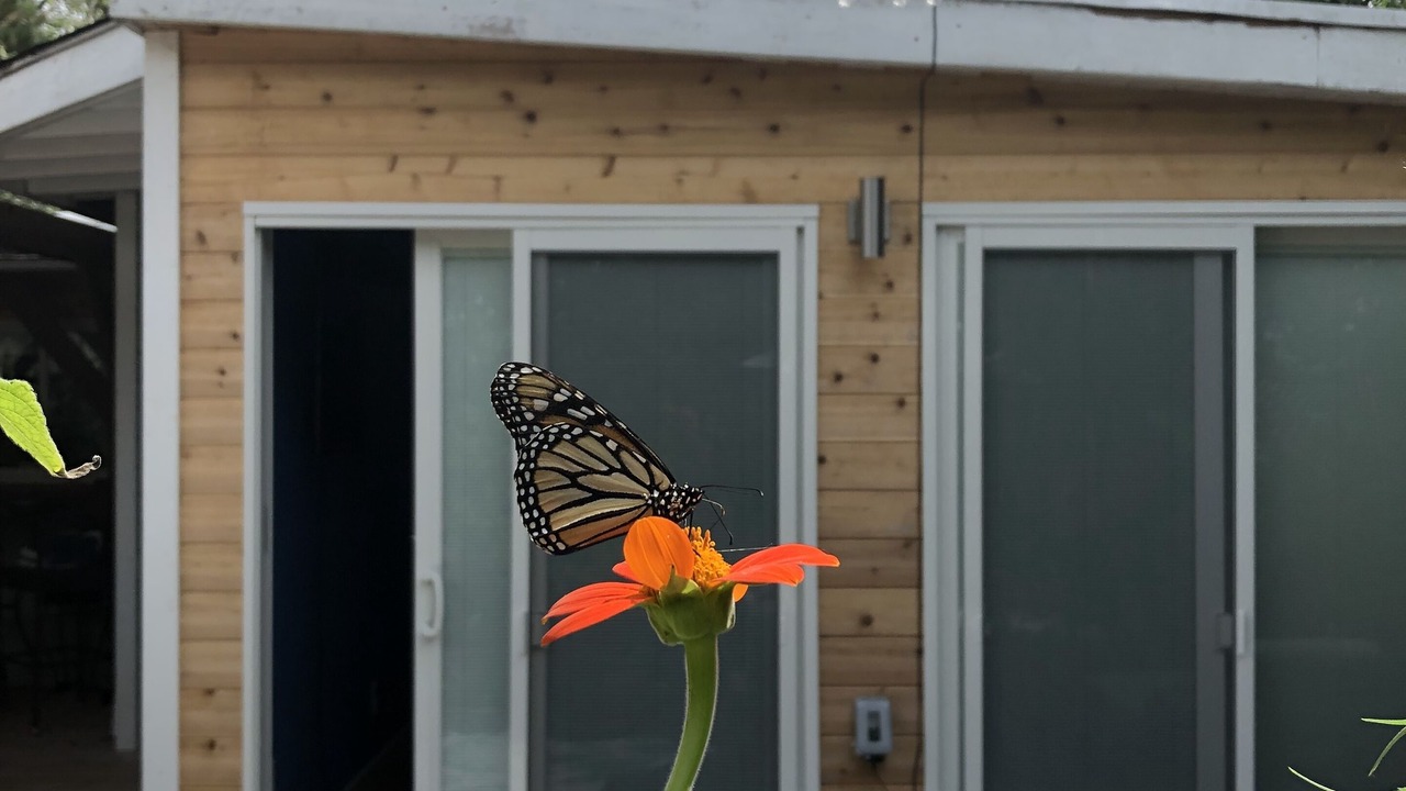 Photo of Patio Balcony in Fair Harbor