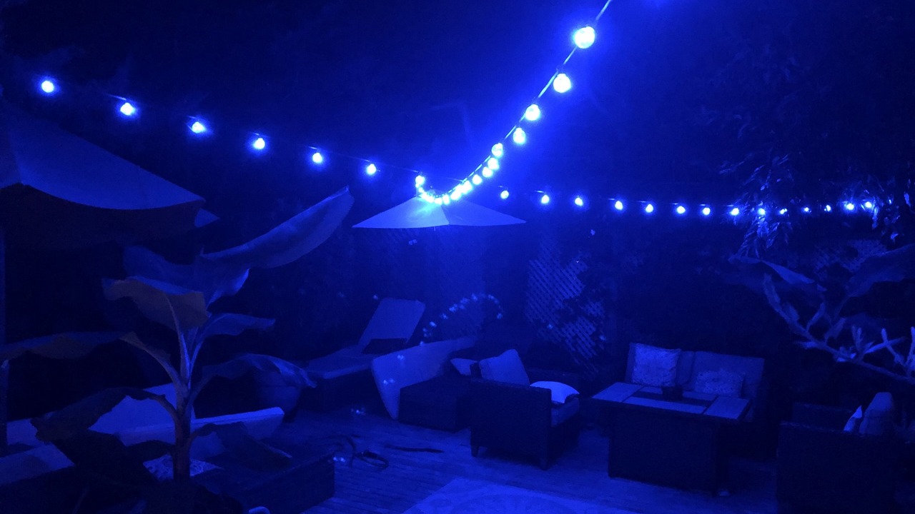 Photo of Outdoor in Fair Harbor