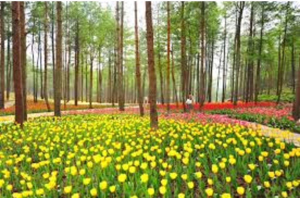 Photo of Others in Colebrook